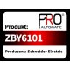 ZBY6101