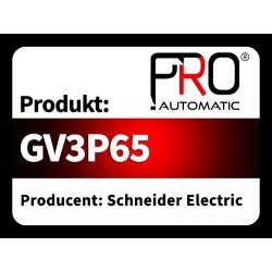 GV3P65